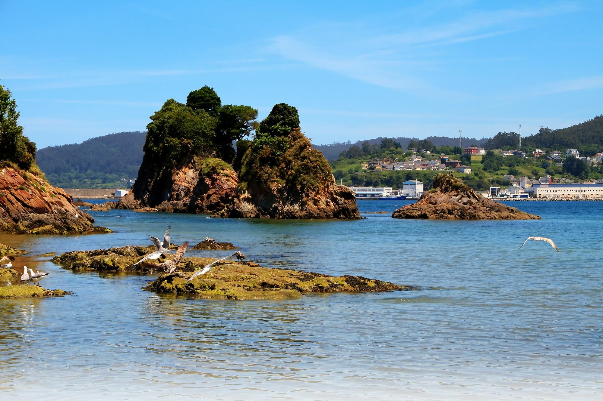 Duerming Sea View Viveiro Leilighet Eksteriør bilde